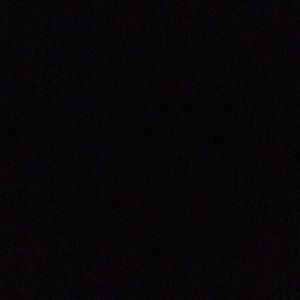 Meet your Posher, Bree